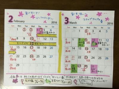 【2月＆3月の営業カレンダー】☆えび塩☆玉菜ちゃん☆えびカレー続々登場♪の写真